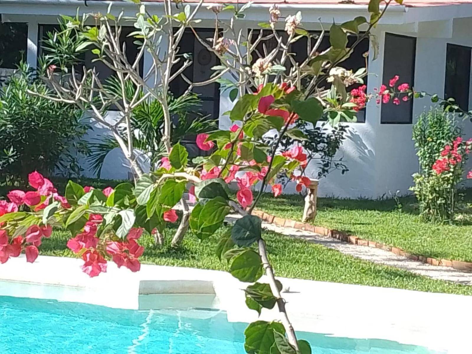 Kerubin Dorado Aparthotel Akumal Kültér fotó