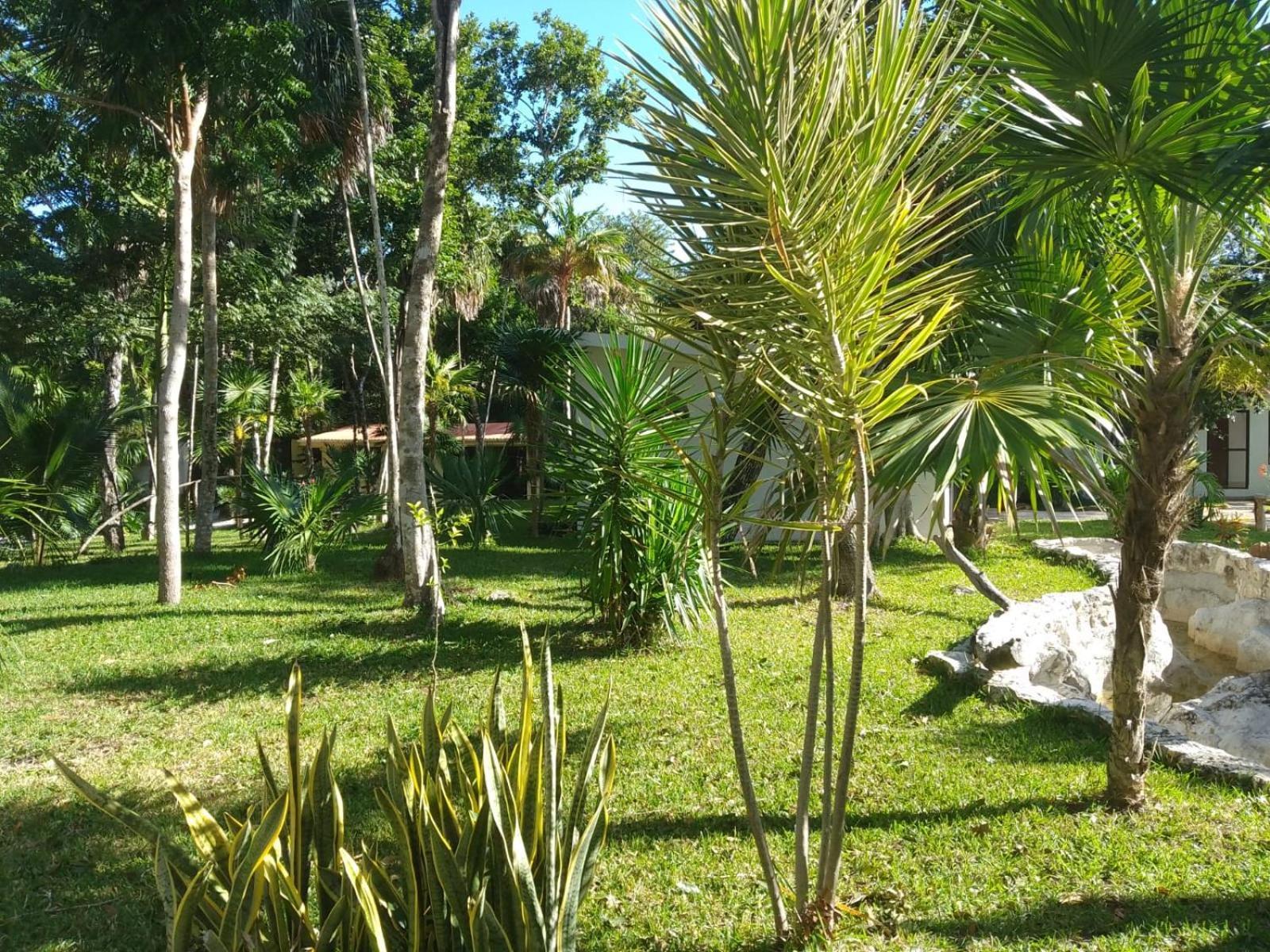 Kerubin Dorado Aparthotel Akumal Kültér fotó
